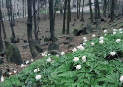 Oblicza Będzina<br>ViaArte - droga sztuki Oblicza Będzina<br>ViaArte - droga sztuki