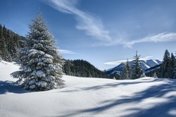 Zapach wiosny zatrzymany w poezji i piosence Zapach wiosny zatrzymany w poezji i piosence
