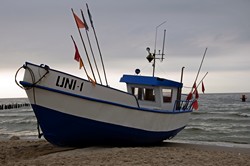 Zapach wiosny zatrzymany w poezji i piosence Zapach wiosny zatrzymany w poezji i piosence