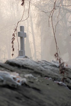 Dotyk przemijania Dotyk przemijania